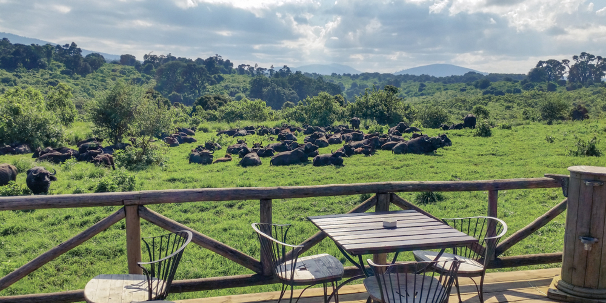 Mkomazi Rhino Lodge