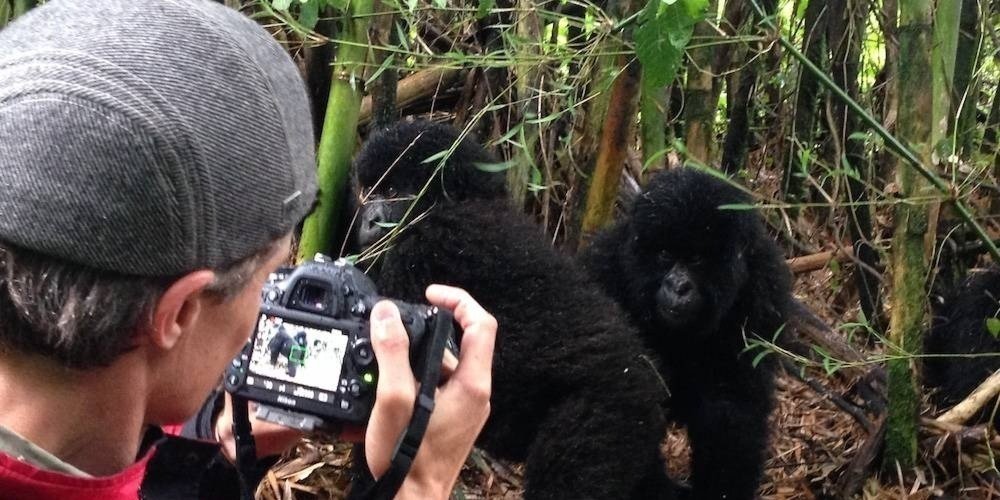 Luxury Gorilla Safari